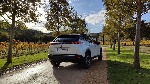 Opgradering eller original? Fordele og ulemper ved brugte tesla model 3 med ekstraudstyr